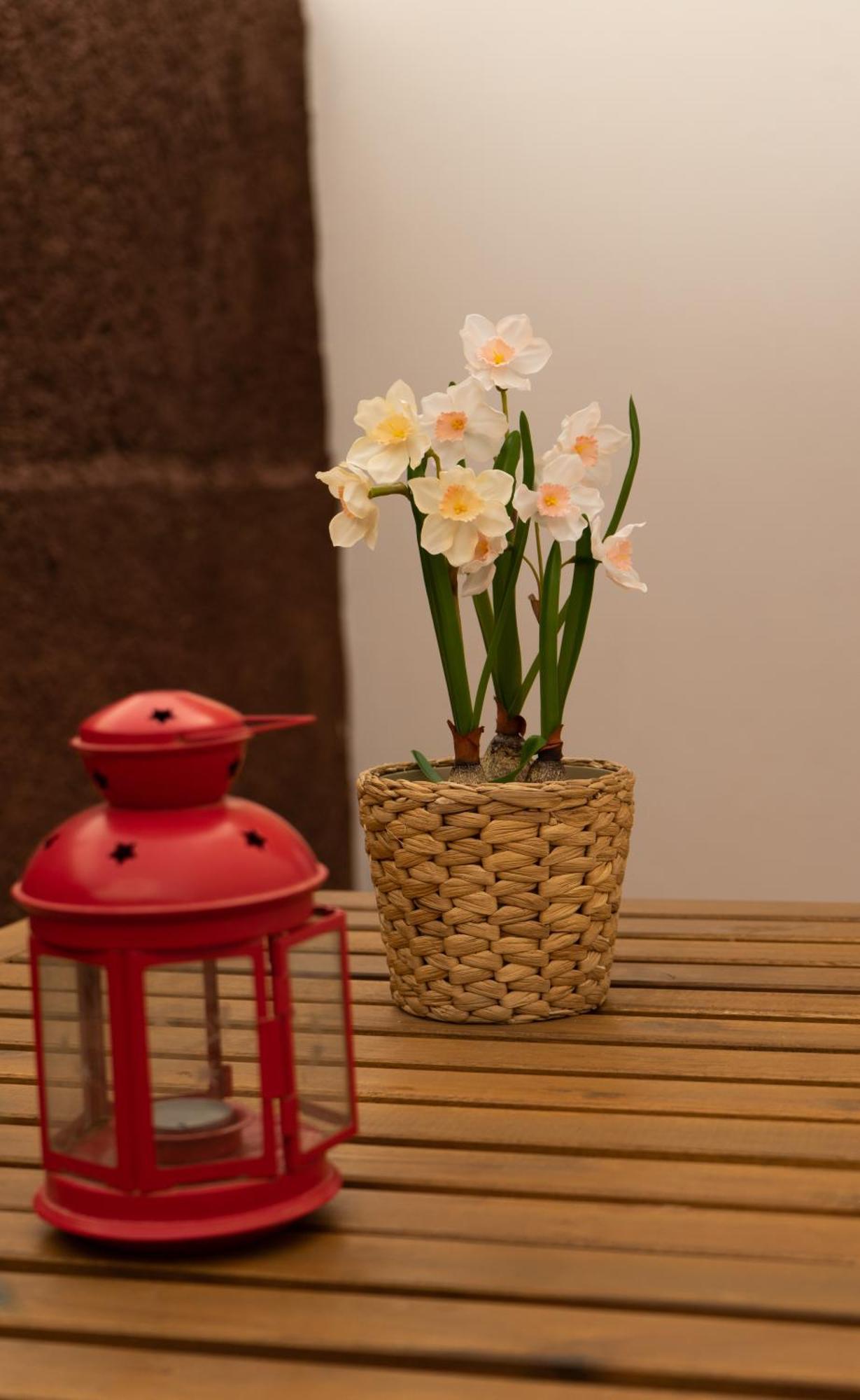 Casa Paca - Your Private Oasis In Lanzarote - Paradise By The Sea Holiday home
